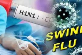 Swine flu: One more woman dies of swine flu, the number is about to reach 100 in Bilaspur... Cg news hindi news khabargali 
