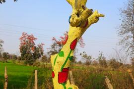 If painting is done on tree trunks, action will be taken against the culprits; Government issued orders, Nitin Singhvi, Raipur, Chhattisgarh, Khabargali,