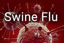 Swine flu, dengue and malaria alert in Chhattisgarh, number of positive patients reaches 72  cg news latestnews  swine flu alert khabargli 