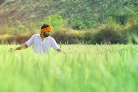 Farmers of Chhattisgarh got loan of more than Rs 6199 crore latet ns