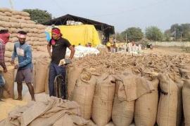 Paddy procurement will start in Chhattisgarh from November 15, Food Minister said - Government will buy 21 quintals at the rate of Rs 3100 per hundred... Cg news Raipur news cg big news khabargali 