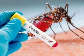 Death of dengue infected assistant professor who returned from Jaipur, 130 patients have been identified so far...cg news durg news hindiews khabargali