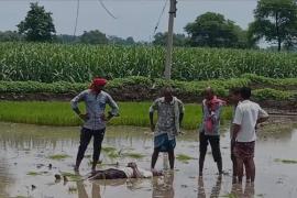 Young man lost his life due to negligence of electricity department, died due to being hit by a bent wire  cg news hindi news kawardha news khabargali 