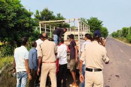 दो बाइक की आपस में भिड़त, तीन युवकों की मौत Two bikes collide, three youths die  cg news hindi news cg big news accident news khabargali 