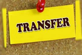 पुलिस विभाग में बड़ा फेरबदल, 7 अफसरों का हुआ ट्रांसफर खबरगली Major reshuffle in police department, 7 officers transferred  cg news hindi news cg big news latest news cg hindi news khabargali 