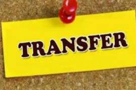 10 तहसीलदारों का हुआ ट्रांसफर, देखें लिस्ट  खबरगली 10 Tehsildars transferred, see list cg news hindi news cg big news cg hindi news khabargali 
