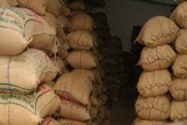 Wheat storage limit halved to prevent hoarding, Khabargali