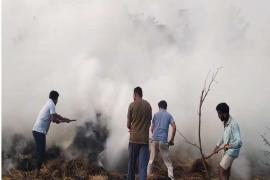 बच्चों ने पैरावट में लगाई आग, 7 साल के मासूम की जिंदा जलकर मौत खबरगली Children set fire to paravat, 7 year old innocent child burnt alive to death cg news hindi news cg big news latest news chhattisgarh news khabargali 