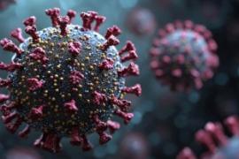 HMPV वायरस ने भारत में दी दस्तक, 6 मामले आए सामने  खबरगली HMPV virus hits India, 6 cases reported hindi news big news hmpv  virous latest new hindi news hmpv virous 
