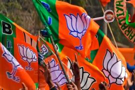 17 जनवरी को होगा भाजपा के नए प्रदेश अध्यक्ष का ऐलान, इन नामों पर लगेगी मुहर खबरगली BJP's new state president will be announced on January 17, these names will be approved cg news cg big news latest news cg big news khabargali      