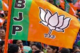  भाजपा ने रायपुर में जिला पंचायत सदस्य के प्रत्याशियों का किया ऐलान, देखें लिस्ट खबरगली  BJP announced candidates for District Panchayat member in Raipur, see list  cg news cg big news latest news cg hindi news khabargalu  