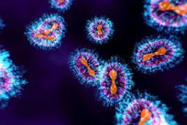 चीन के नए वायरस HMPV की भारत में एंट्री, बेंगलुरु में मिले दो केस खबरगली  China's new virus HMPV enters India, two cases found in Bengaluru  hindi news big news  health news latest news khabargali 