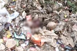 नाले में मिला नवजात का शव, इलाके में मचा हड़कंप खबरगली  Newborn's body found in drain, panic in the area   cg news cg big news hindi news cg latest news cg big news khabargali 