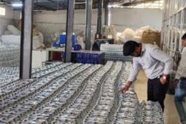 बोतल पैकेजिंग प्लांट में रेड, कई सैंपल जब्त खबरगली Raid in bottle packaging plant, many samples seized  cg news cg big news hindi news latest news khabaragali 
