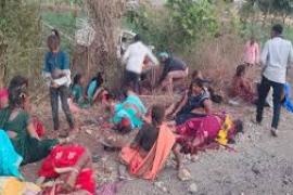दर्दनाक हादसा पिकअप पलटने से दो की मौत, 50 लोग घायल, मची चीख पुकार  खबरगली Tragic accident: Two killed, 50 injured as pickup overturns, screams galore cg news cg big news cg latest news cg hindi news khabargali 