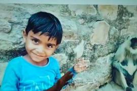 A tigress carried away a seven-year-old child; the family was going to invite him to a temple latest news hindi news khabargali 