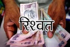 ACB caught AE and Patwari of Electricity Department taking bribe, Chhattisgarh, Khabargali