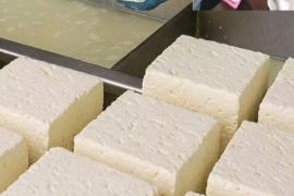  thousand kg of fake cheese recovered in Raipur, food department raided dairy Khabargali  chhattisgarh Raipur Fake Panner khabargali 