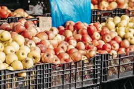 Turkish tiles and apples will no longer be available in Chhattisgarh, traders refuse to buy them latest News hindi news big News  khabargali 