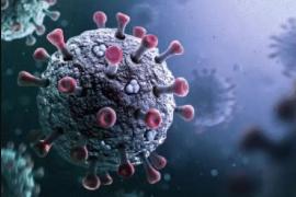 Corona infection increased in Chhattisgarh, 9 new patients were found cg news Big News latest news Khabargali 