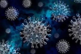 5 deaths due to corona in 24 hours across the country, 300 new cases reported hindi news big news latest news khabargali 