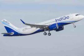 Indigo flight going from Patna to Delhi collided with a bird, 175 passengers new Delhi news big news hindi news latest news khabargali 