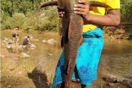 Rare 'Bodh' species of fish found in Indravati river, worshipped as goddess Chhattisgarh news hindi news latest News jagdalpur news khabargali 