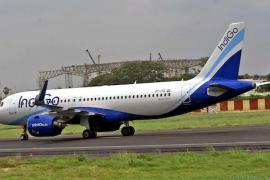 Indigo flight gate could not open for half an hour in Raipur, many passengers including MLA were stranded hindi news big News latest News khabargali 