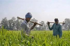 Big change in Pradhan Mantri Kisan Samman Nidhi Yojana, now families registered on the same land in Chhattisgarh will get separate benefits of Rs 6000.cg hindi News latest news khabargali 