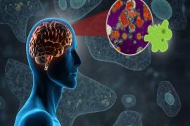 Brain-eating amoeba has caused 19 deaths in Kerala so far; this is how the infection occurs. Hindi news big news latest News khabargali 