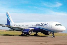 Passenger dies at airport, plane lands at Raipur airport hindi News latest news khabargali 