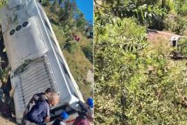A bus carrying pilgrims from Gujarat fell into a ditch, killing five people. 29 passengers were on board. Hindi news  big News khabargali 