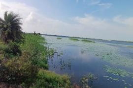 भारत-दक्षिण अफ्रीका वनडे मैच के टिकटों की ऑनलाइन बुकिंग शुरू,  3 दिसंबर को खेला जाएगा वनडे सीरीज का दूसरा मैच खबरगली Online booking of tickets for the India-South Africa ODI match has begun; the second match of the series will be played on December 3. Raipur Hndi news khabargali 