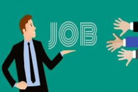 Golden employment opportunity for youth, placements on January 12 at ITI Raipur, many posts to be filled