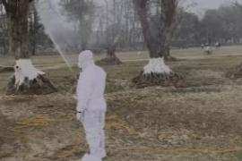 मैदान में 150 से अधिक मृत कौवे मिले , बर्ड फ्लू की पुष्टि के बाद अलर्ट ख़बरगली Over 150 dead crows found in field, alert issued after bird flu confirmed patna hindi news khabargali 