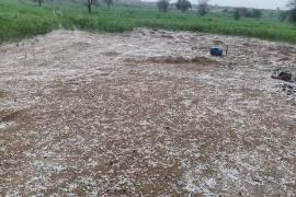 Heavy rain and hailstorms in Chhattisgarh raipur chhattisgarh hindi news khabargali 