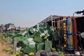 A Mazda loaded with bananas overturned on the road, leading to a long queue of vehicles. hindi news khairagarh news big news khabargali 