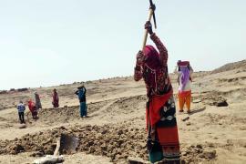 Chhattisgarh tops the country in e-KYC of MNREGA workers, a new record achieved under the leadership of the Chief Minister‌ hindi News latest news big News khabargali 