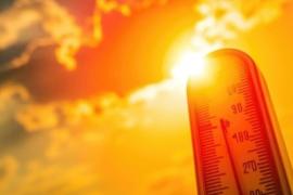 Heat wave grips Chhattisgarh, mercury reaches 45 degrees Celsius; heatwave warnings in several districts hindi news latest news big News khabargali 