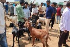 Bakrid alert: Ban on open-air sacrifice, action to be taken against DJs raipur chhattisgarh latest news khabargali  