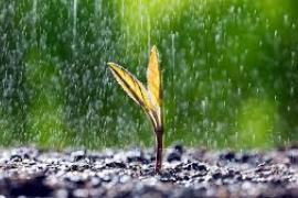 Rain expected in Chhattisgarh for next 5 days, providing relief from scorching heat raipur chhattisgarh hindi news khabargali 