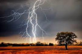 Lightning strikes children gathering mangoes in Ambikapur; 3 dead, including 2 young children. ambikapur chhattisgarh hindi news khabargali 