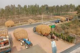 Green fuel to be produced from cow dung and crop stubble; farmers' income to rise; plants being set up in 8 districts. raipur chhattisgarh latest big news khabargali 
