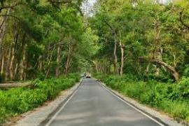 The forest will remain closed to tourists for three months starting today; entry will resume on October 2. raipur chhattisgarh hindi news khabargali 