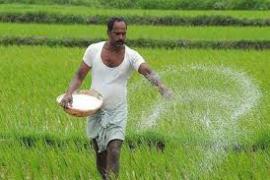 Major relief for farmers: Officials must now provide irrigation facilities within 7 days. big news raipur khabargali 