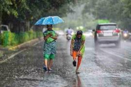 Heavy rain alert for Chhattisgarh; alert issued for the next 24 hours. Hindi news latest news khabargali 