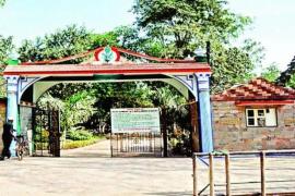 Major changes in the operation of Nandanvan coming soon; Forest Department to issue tender shortly. Hindi news latest news khabargali 