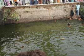 Two children drown in the stepwell of Chaturbhuji Temple; atmosphere of mourning in the area. raipur chhattisgarh latest news khabargali 