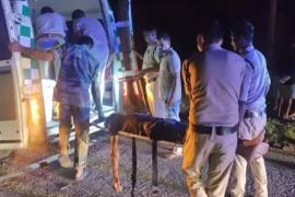  Horrific road accident in Balrampur; 3 laborers killed tragically. hindi news chhattisgarh khabargali 