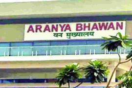 IFS officer OP Yadav promoted to PCCF; state government issues order. raipur chhattisgarh hindi news khabargali 